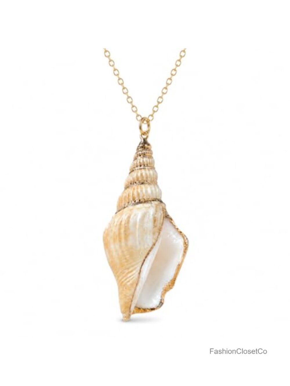 Natural Conch Shell Pendant Necklace Gold Edging 29.5 Inch Long Boho Chain